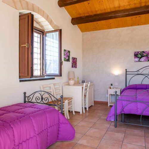 Comfort Room – Ginestra/Malva