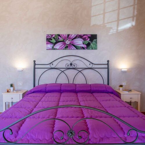 Comfort Room – Ginestra/Malva
